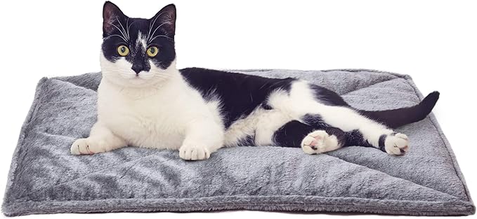 cat beds for older cats