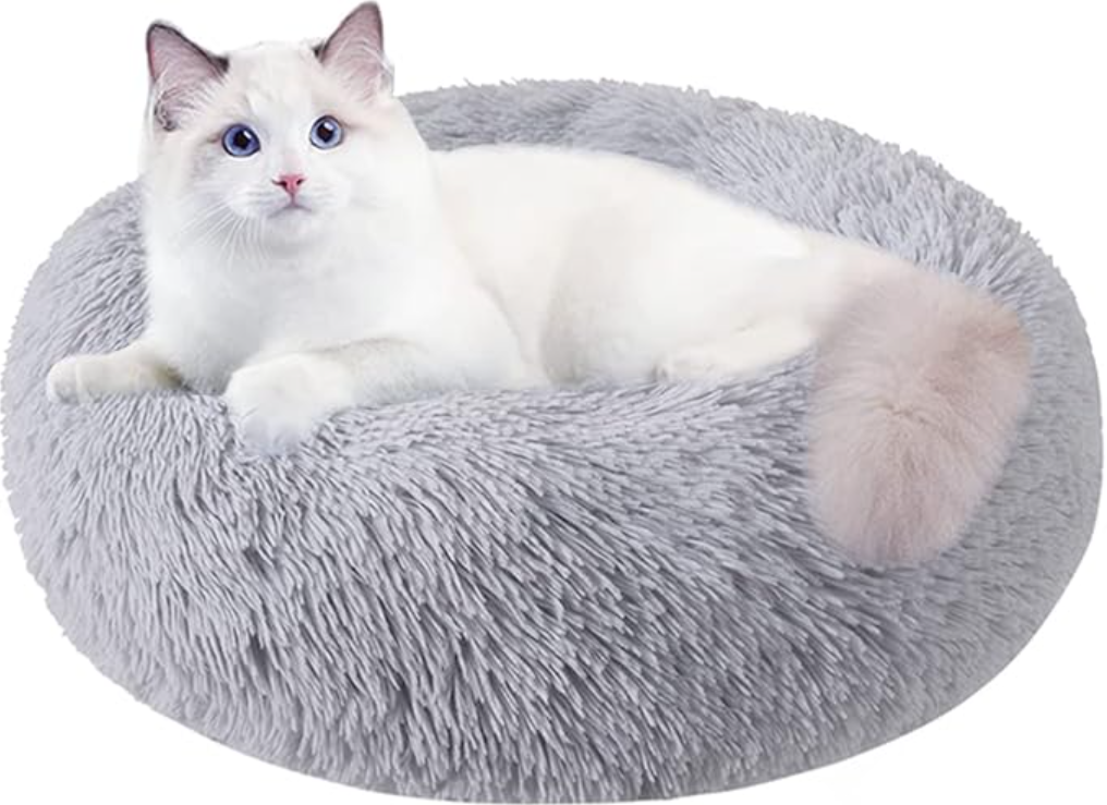 cat beds for older cats