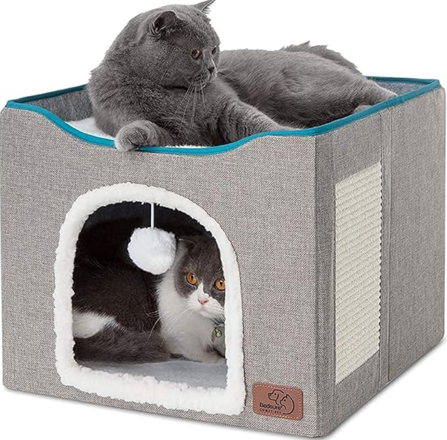 cat beds for older cats