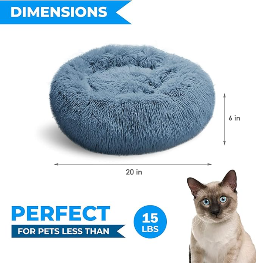 cat beds for older cats