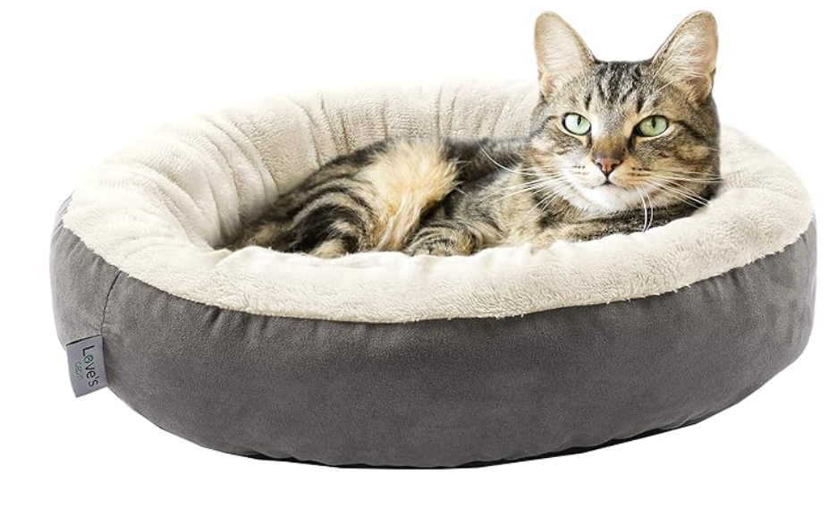 cat beds for older cats