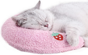 Whimscialfox Cat Pillow