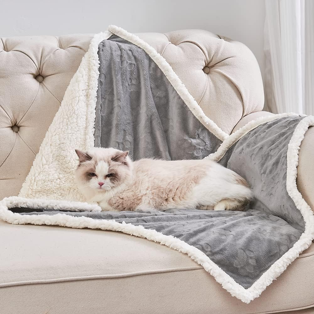 why do cat love blanket
