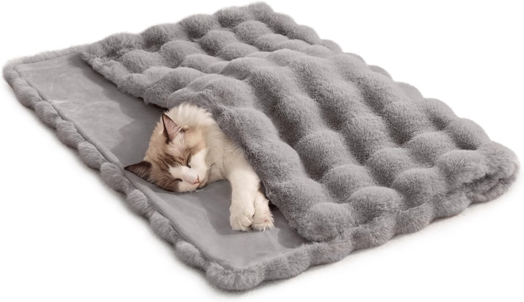 cats love blankets