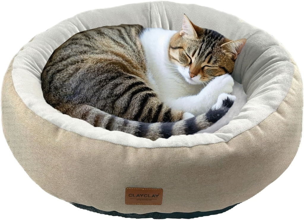 Cat Cosy Cushion