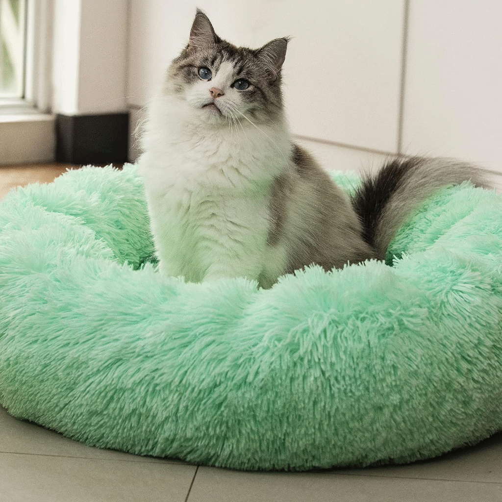 Anxiety Relief Bed