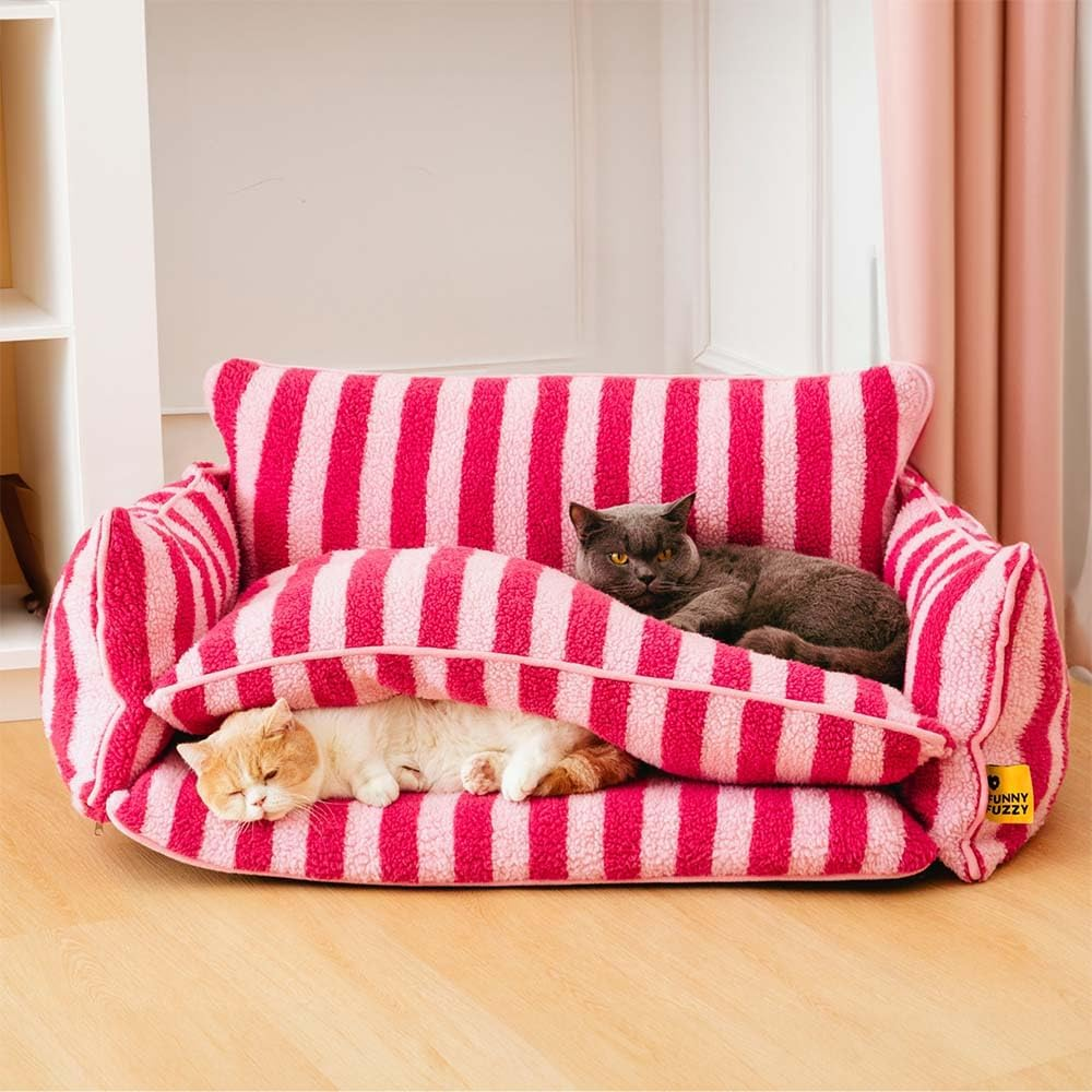 Orthopedic Cat bed