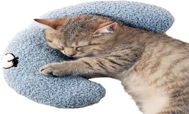 Dout shaped pillow