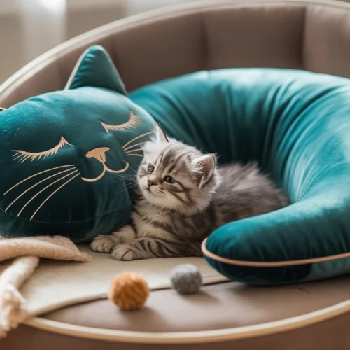 Best Cat Pillows for Relaxation: Top Designs for your Feline