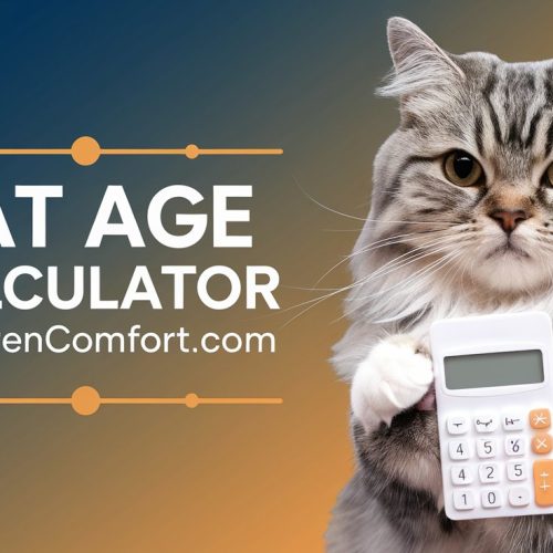 Cat Age Calculator (Human Years ↔ Cat Years)