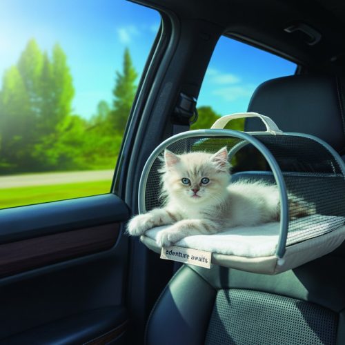 Travel-Friendly Cat Beds: The Best Cozy Carriers for Cats on the Go 🐾